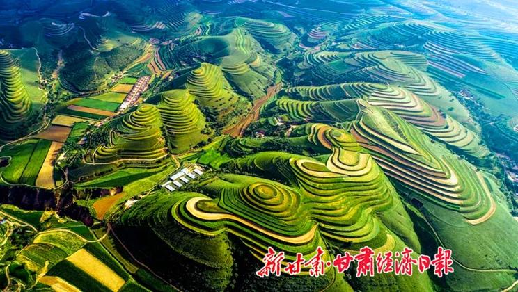“羊”名立萬正當時——環(huán)縣念羊經、興羊業(yè)、發(fā)羊財促進鄉(xiāng)村振興發(fā)展
